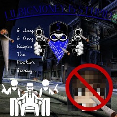 Lilbigmoney Is Stupid (Diss)
