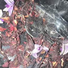 Neck Deep December Cover