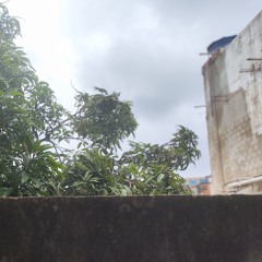 Caracas / Itapevi