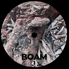 BOAM 1