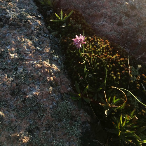 red bottom sky (lullaby)