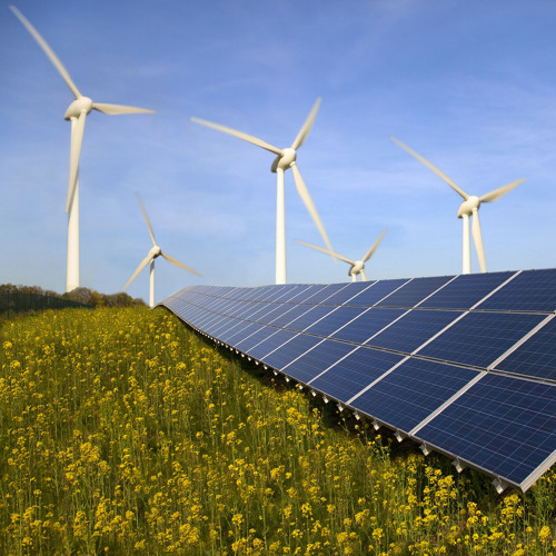 Stream How some companies cut corners to achieve renewable energy