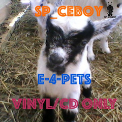 #01 E4Pets (Vinyl DJ Mix) DJ Icey | hawke | Dance House Children | Rebirth | DJ Liquid