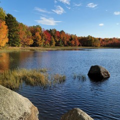 I Can Go the Distance (Disney's Hercules Cover)