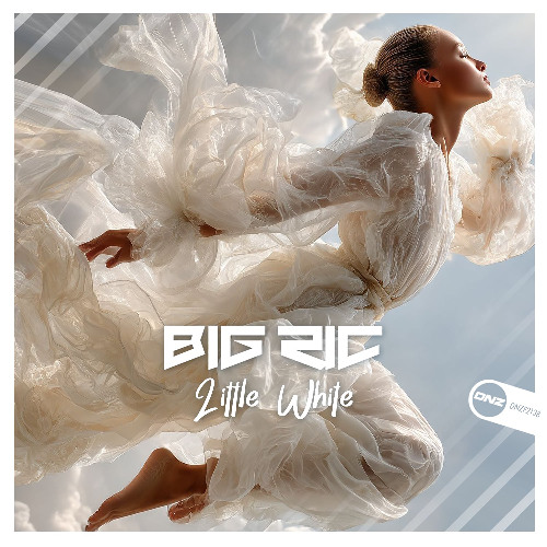 Big Ric -  Little While (Radio Edit) (Available Sept 19th)