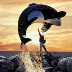 Movies Like Free Willy