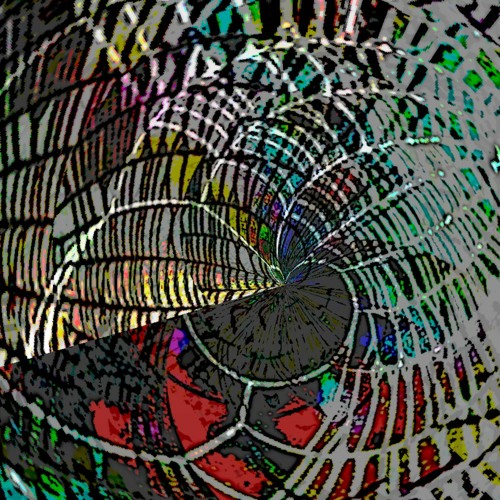 Web (naviarhaiku473)