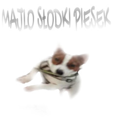 majlo sodki piesek