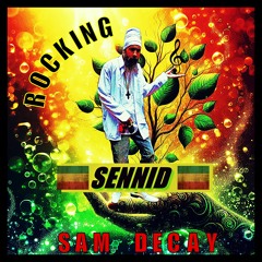 SENNID & SAM DECAY - ROCKING