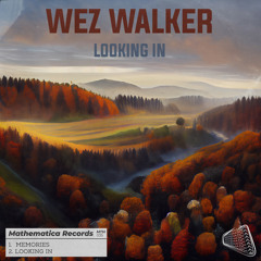 Wez Walker - Looking In (Original Mix)
