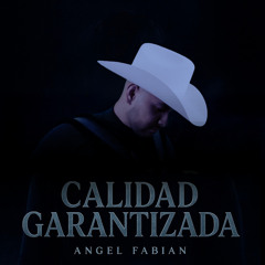 Calidad garantizada