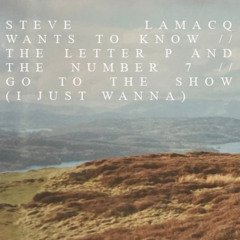 Steve Lamacq Wants To Know