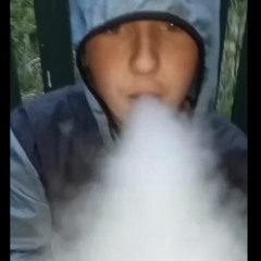 Turf lodge bonkers style