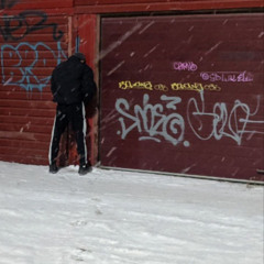 threepileptic - черепаха иди нахуй