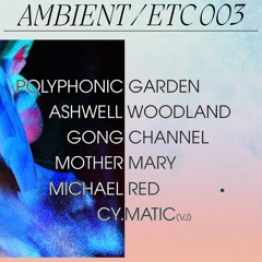 ambient/etc 003 (opening dj set)