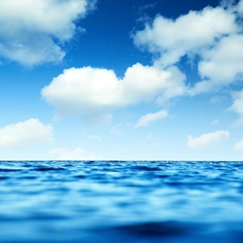238 form background FREE DOWNLOAD