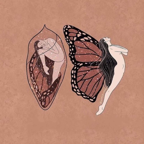 Fairy Funk (from Downtempo to Psychedelic Trance)