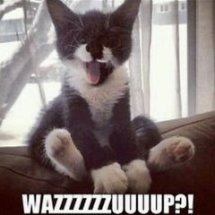 OH EM GEE BB XD RAWR (fallen ang3lx)