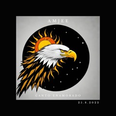 Canto Enamorado (Unplugged)