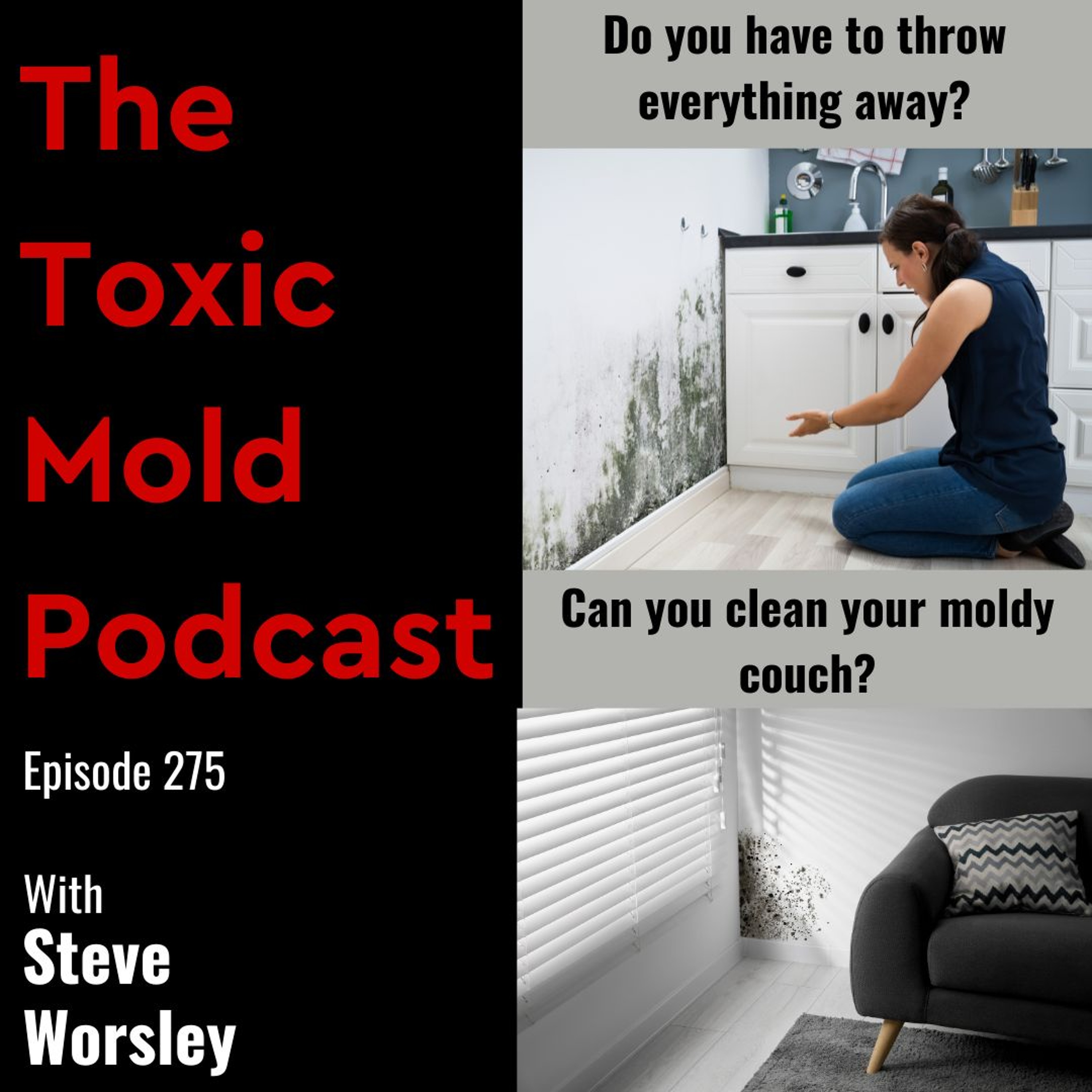 The Toxic Mold Podcast
