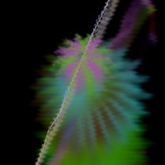 Sochli kotib bilan porno video