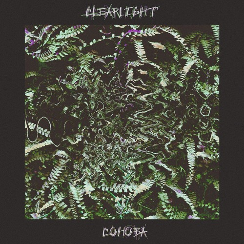 Clearlight - No Light, No Path (Ft Owl)