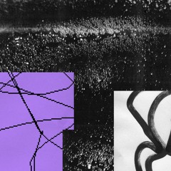 Premiere: Amalle, Bird Boys, Avegai - Cosmo Cat [OTPS001]