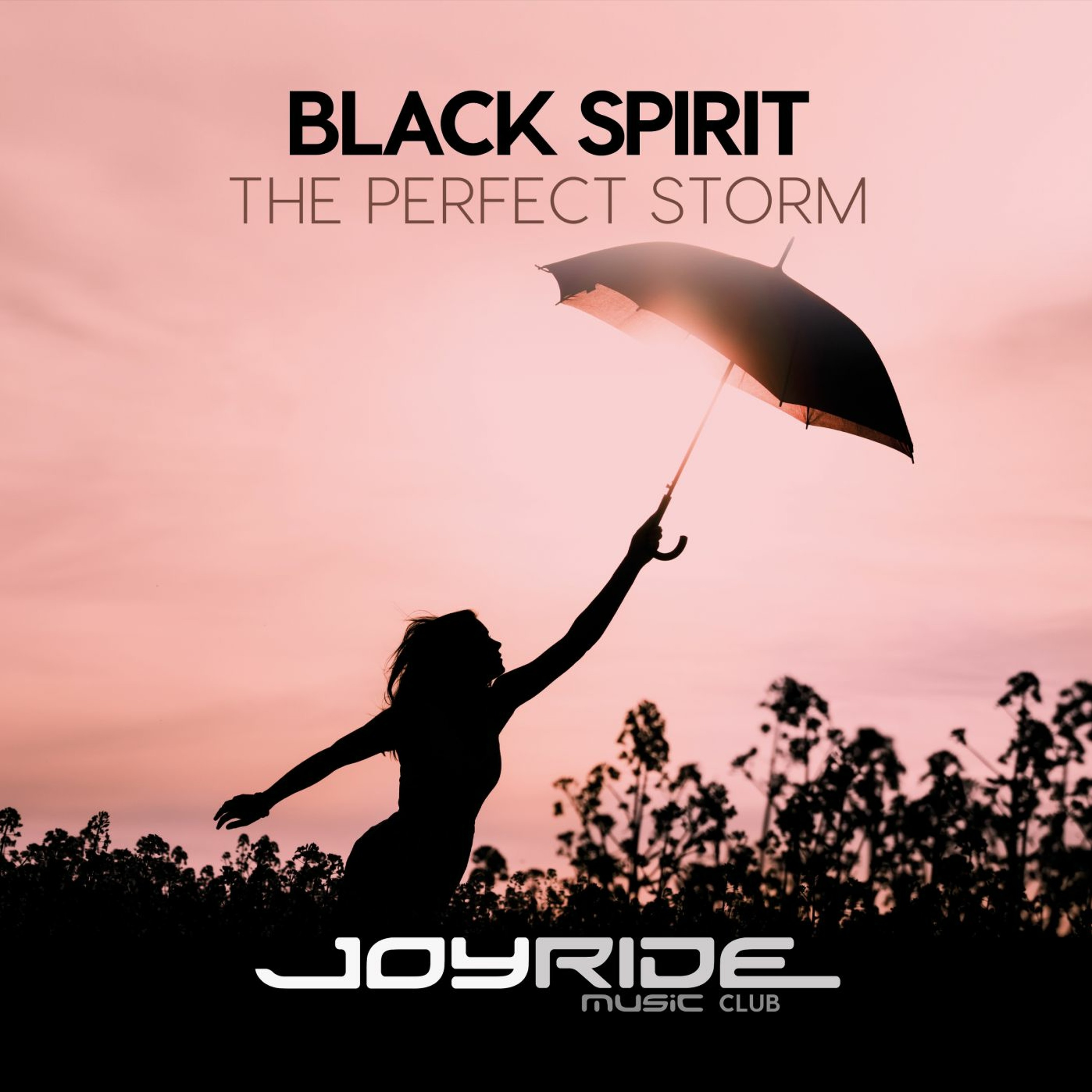 Black Spirit - The Perfect Storm episode artwork