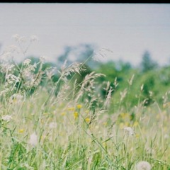 "Metamorfoos" Grete Kaio