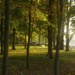 Земфира - Блюз ( unkll0 )