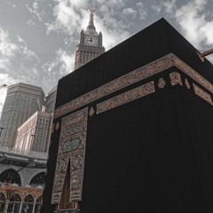 ال عمران - النمل