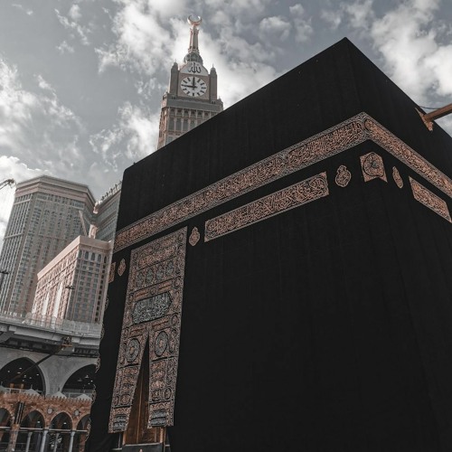 ال عمران - النمل