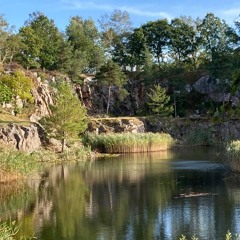 Sea Of Tranquility
