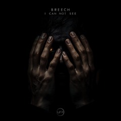 I Can Not See - Breech