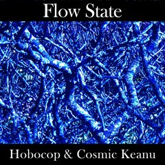 Flow State (Hobocop & Cosmic Keanu) VIDEO AVAILABLE