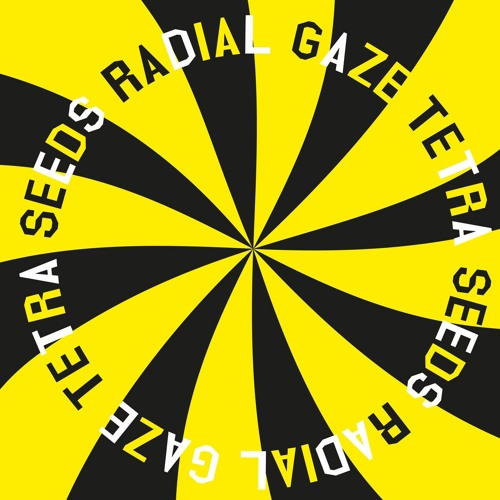 PREMIERE: Radial Gaze - Black Salto [Thisbe Recordings]