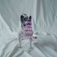 colde - your dog loves you (cover fyu)