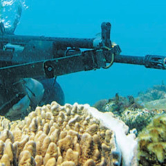 J2V + BABBOY7 SCUBADIVER