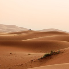Desert Sunset