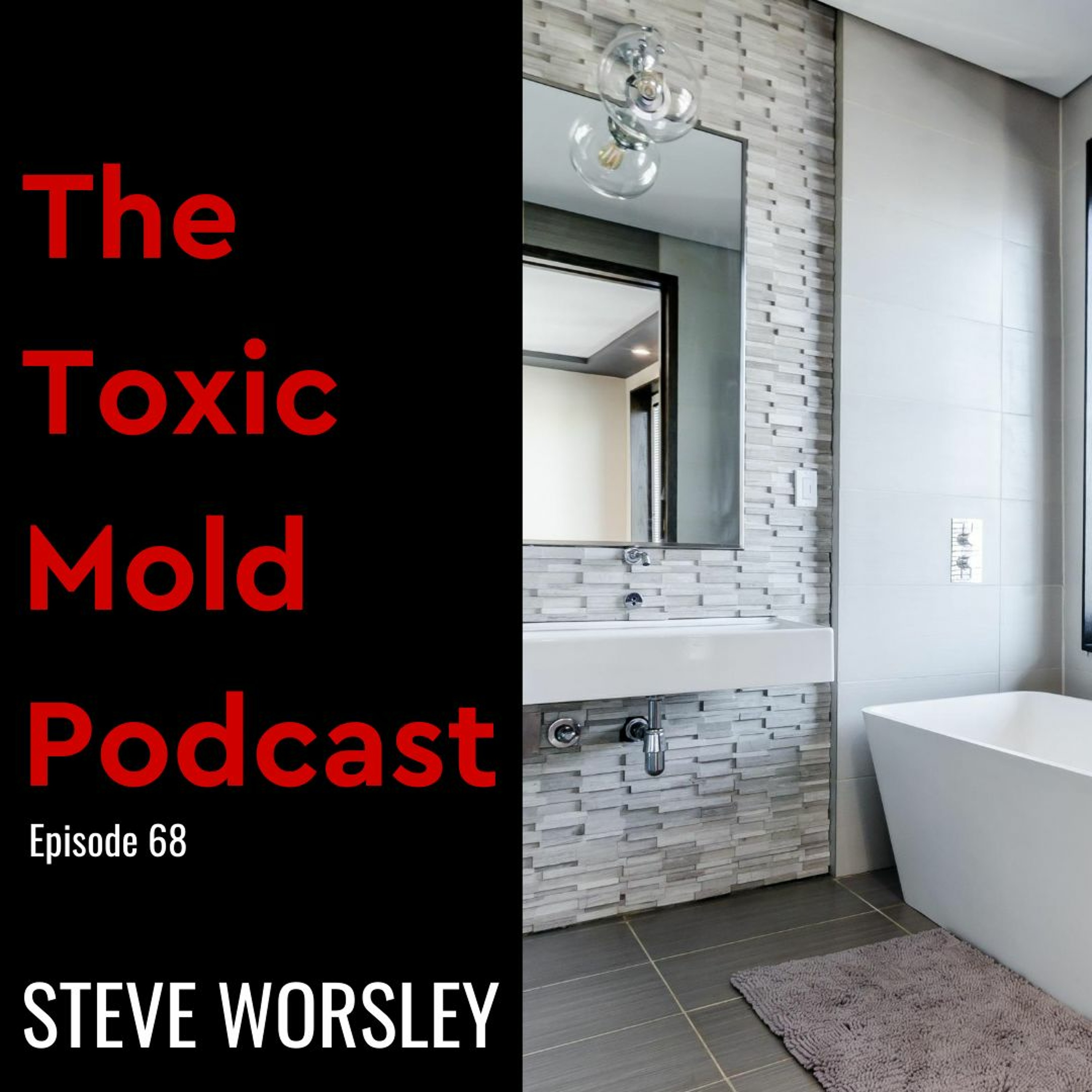 The Toxic Mold Podcast