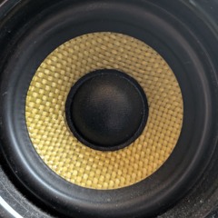 In Love With The Disease