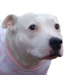NEW ACCOUNT I'M BACK FROM THE DEAD