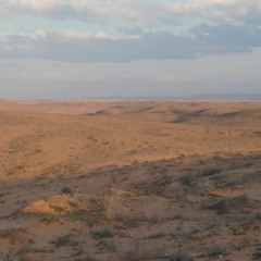 bentzion sunset 2021
