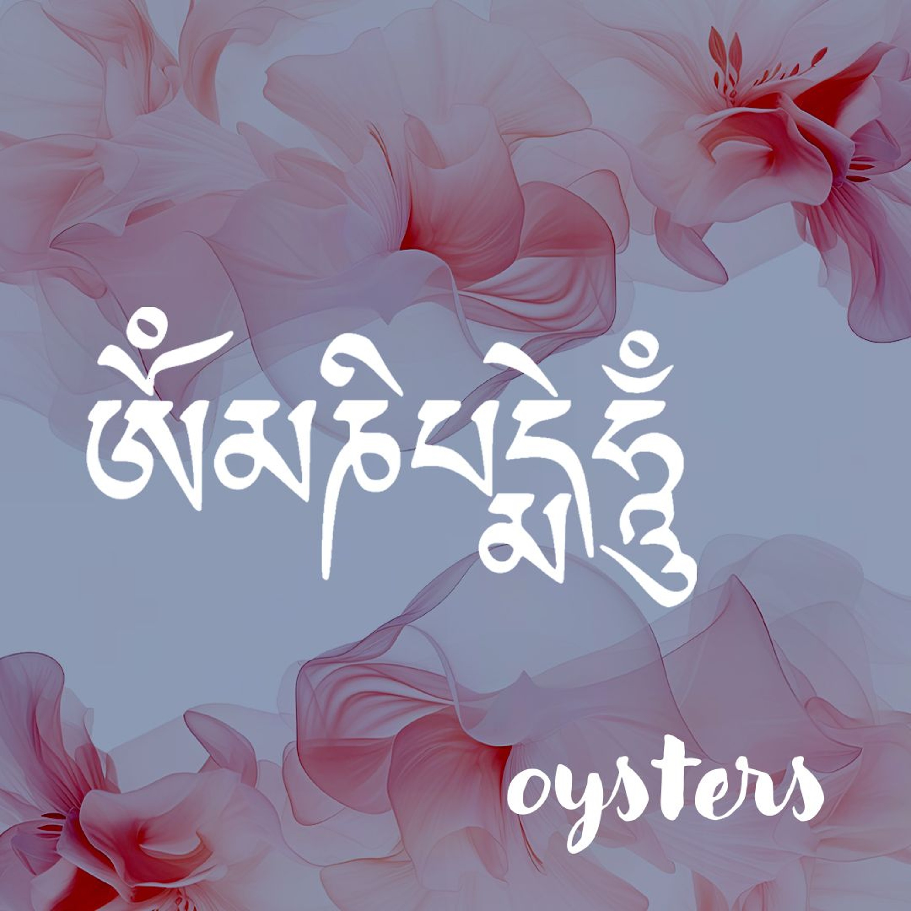 08052026 Oysters episode artwork