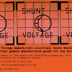 Shunt Voltage Vinyl 4 Track Promo Taster
