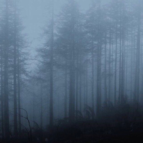 leave my body in the quarry  feat. Seguya Viviana