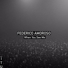 Federico Amoroso - When You See Me [ITU]