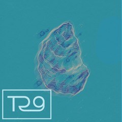 F141 - The Blue Oyster | 13.02