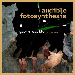 audible fotosynthesis series no 1 feat gavin castle