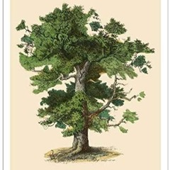 The Oak Tree by Johnny Ray Ryder Jr